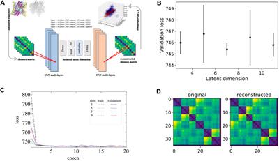 Inter-Subunit Dynamics Controls Tunnel Formation During the Oxygenation Process in Hemocyanin Hexamers